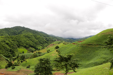Big mountain at Chiang Rai, Thailand