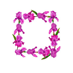 Fototapeta na wymiar Wreath flowers irises watercolor decoration design botanical illustration textiles invitations greeting card frame spring