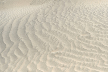 Sand dunes background. Death Valley National Park, California, USA