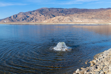 Bubbler in Owens Lake, California, USA