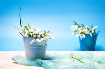 Snowdrop flowers in a can vase
