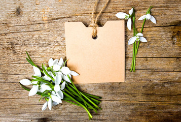 Snowdrop flowers and an empty note card