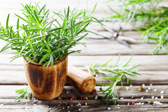 Fresh aromatic rosemary in mortar bowl for cooking.