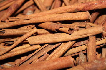 spices Cinnamon sticks
