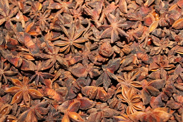 Star anise Illicium verum fragrant spice 