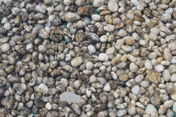 dry round reeble stones