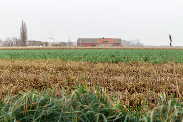Scandinavian pastoral landscape. Yellow and green fields surrounding a cosy Sweden village under gray north sky. Ven Island