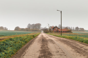 Fototapeta premium Foggy fuzzy view of the dirt road in the village in Sweden
