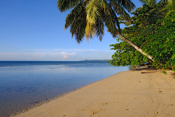 Palm trees and beach, Sainte Marie Island, Madagascar