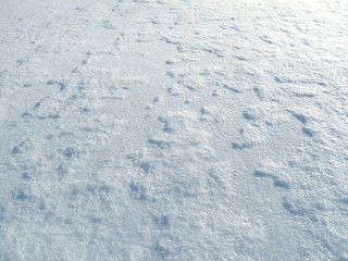 background of fresh snow texture
