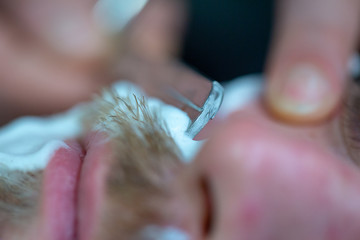 Handwerk Friseur / Frisör - Barber - Bürste und Fön