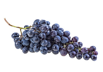 Fresh blue grapes isolated on white background
