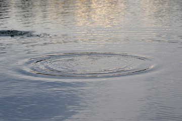 Fototapeta na wymiar circles on the water