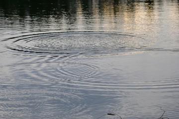 circles on the water