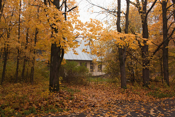 path to  house standing in  depths of  park