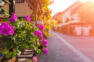 Beautiful pedestrian street in a medieval town with flowers on the terrace on a summer sunrise in Sibiu, Romania