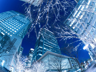 丸の内仲通りのイルミネーション