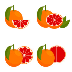 Icon Grapefruit. Vector illustration.