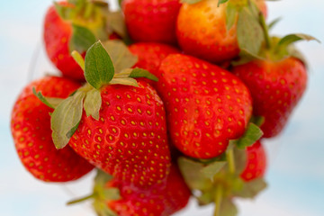 Fresh garden strawberry berries.