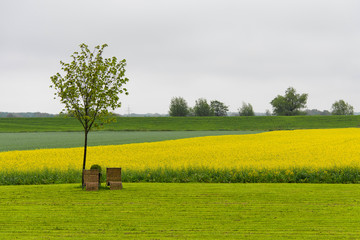 Landschaften