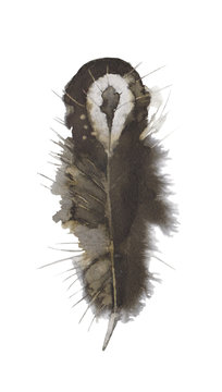 Stylized graphic peacock feather. Hand-drawn feather. Ink Illustration.