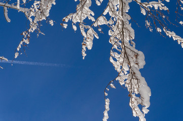 Frozen winter landscape 
