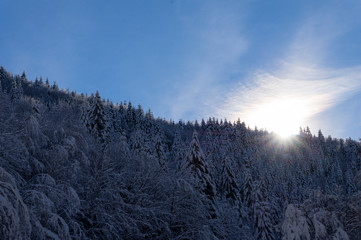 Frozen winter landscape 