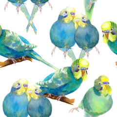 Obraz premium seamless pattern wavy parrot blue with a yellow head. watercolor illustration