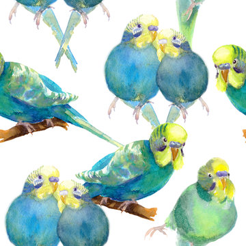 seamless pattern  wavy parrot blue with a yellow head. watercolor illustration