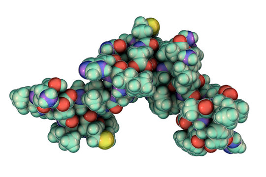 Human parathyroid hormone