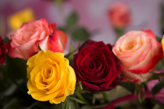 A bouquet of colorful roses for a valentine gift