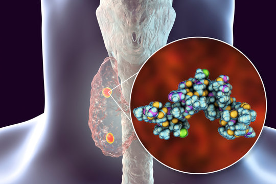 Human parathyroid hormone