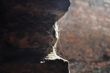 spider web on a wall