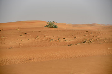 Fototapeta na wymiar Pink Rock, Sharjah desert area, one of the most visited places for Off-roading, dune bashing and adventure by off roaders