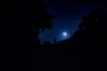 Mountain Road through the forest on a full moon night. Scenic night landscape of dark blue sky with moon. Azerbaijan