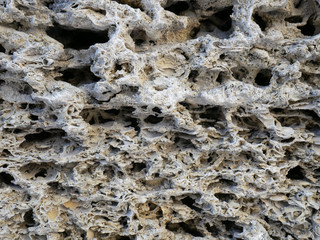 Shell rock wall texture. Coquina stone background.