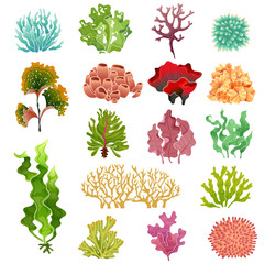 Coral and seaweed. Underwater flora, sea water seaweeds aquarium kelp and corals. Ocean plants vector set - obrazy, fototapety, plakaty