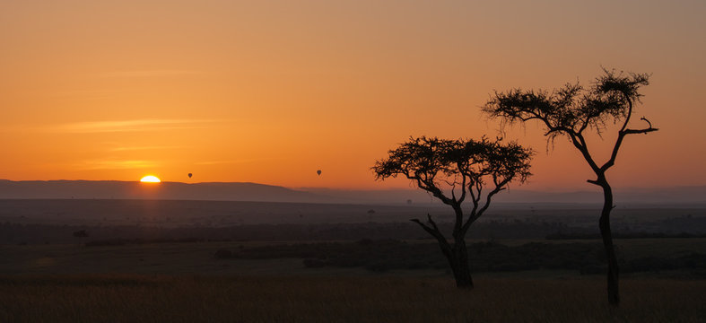 Tramonto con alberi di acacia, Kenya