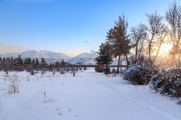 Palandoken mountains from distance with pine trees in Erzurum, Turkey