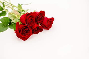 Bouquet of red  roses with a red ribbon. Eights march woman's day, holiday. Flowers on a white background copespace. Horizontal top view