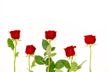 Bouquet of red  roses with a red ribbon. Eights march woman's day, holiday. Flowers on a white background copespace. Horizontal top view