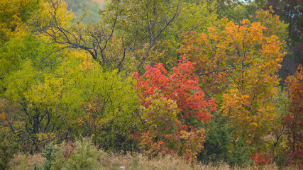 parco nazionale Abruzzo