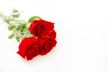 Bouquet of red  roses with a red ribbon. Eights march woman's day, holiday. Flowers on a white background copespace. Horizontal top view