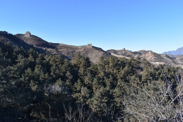 Panorama of the Great Wall in Jinshanling in winter with green trees in front near Beijing in China