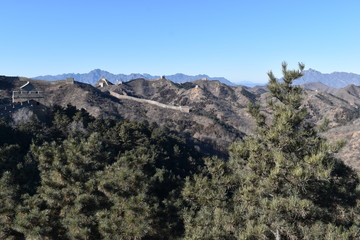 Panorama of the Great Wall in Jinshanling in winter with green trees in front near Beijing in China