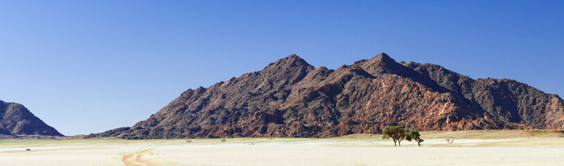 Landscape in the Namib Desert / Landscape with Oryx Antelope in the Namib Desert, Namibia, Africa.
