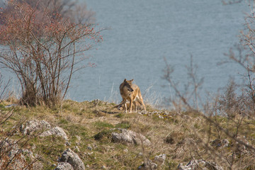 abruzzo