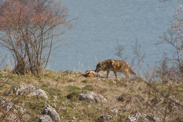 abruzzo