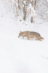 Obraz premium abruzzo