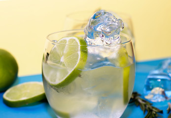 Gin Tonic cocktail with ingredients, lemon, lime, rosemary and ice.